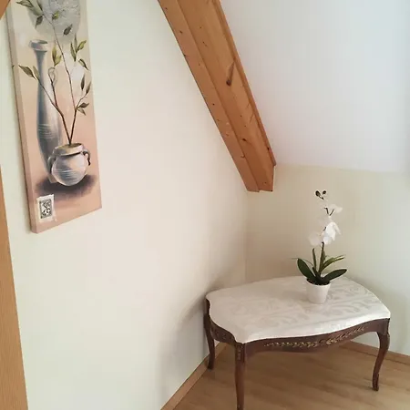 Ferienhaus, Doppelhaushaelfte In Seebad Ahlbeck Apartment