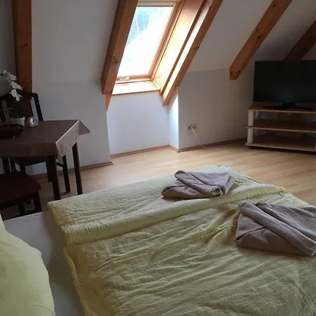 Ferienhaus, Doppelhaushaelfte In Seebad Ahlbeck Heringsdorf (Usedom)